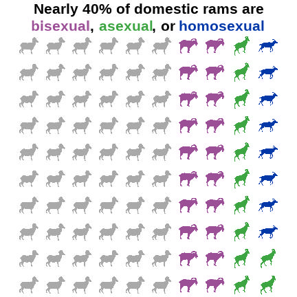 Icon array of colored sheep. Most are in grey, but 40% are in purple, green, or blue which corresponds to the text reading that this is the proportion of domestic rams that are bisexual, asexual, or homosexual.